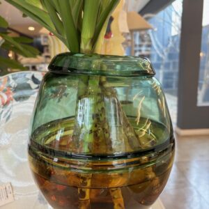 Vaso Vidro Multicolorido Transparente