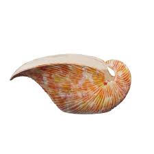 Vaso Concha Multicolorido Laranja